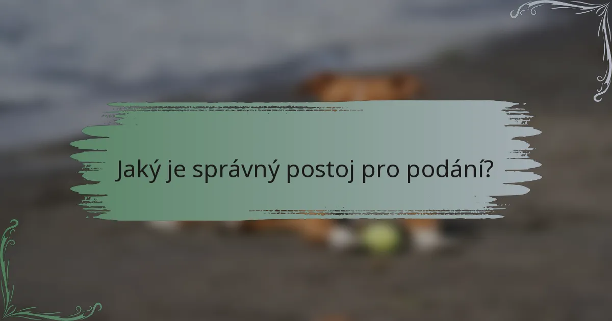 Jaký je správný postoj pro podání?